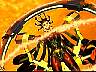 firedk17.jpg